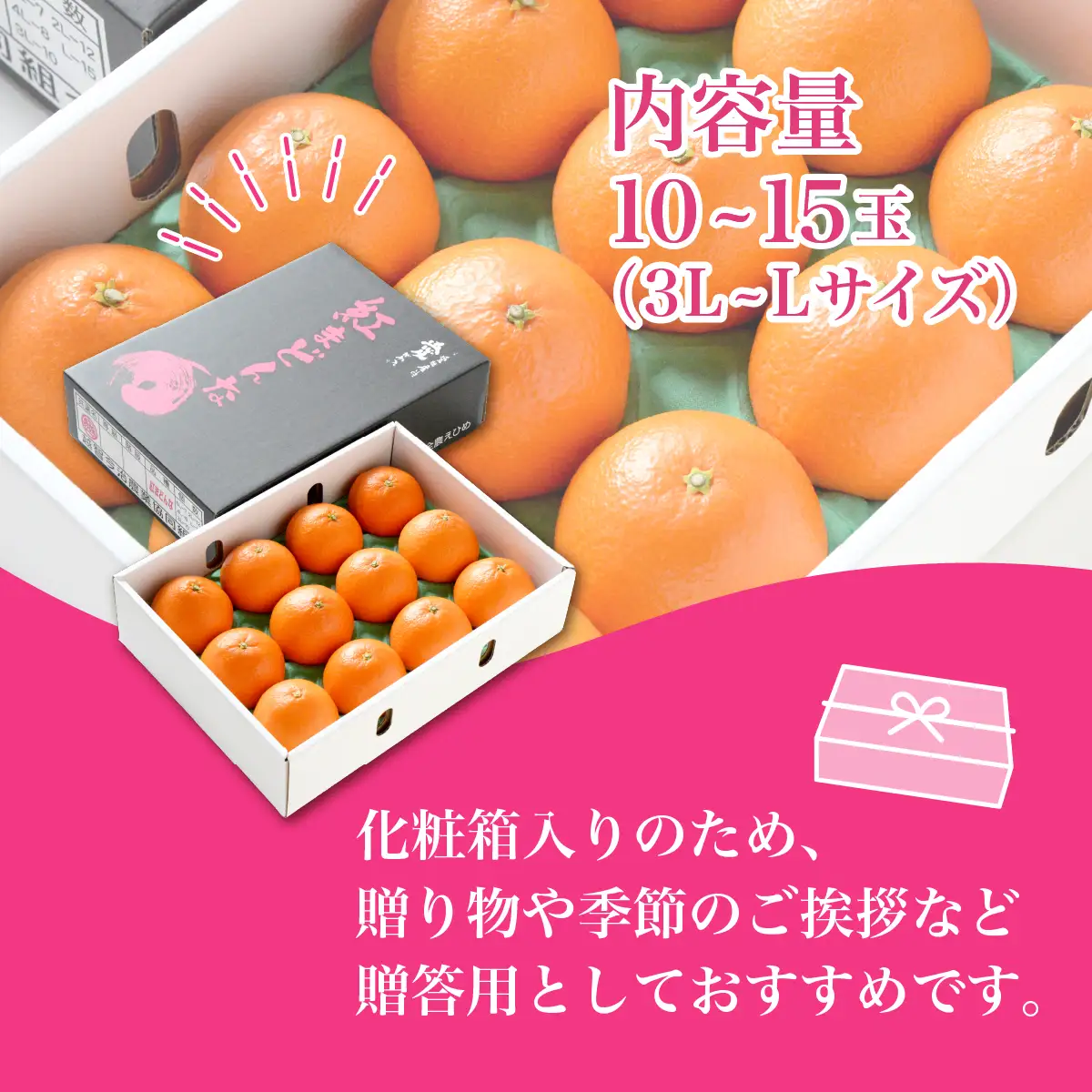 みかん【先行受付】紅まどんな 化粧箱 3L～L 10～15玉
