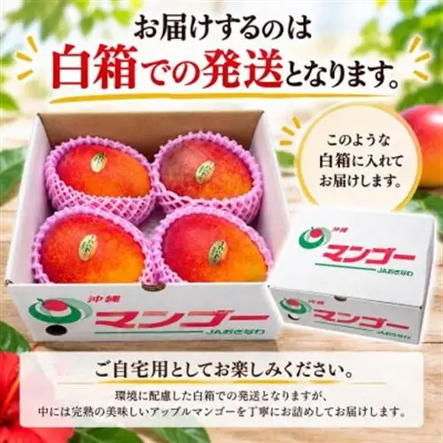 【2027年6月下旬から順次発送・家庭用】JAおきなわ厳選 完熟アップルマンゴー約1kg(2～4玉)【配送不可地域：離島】【1439150】