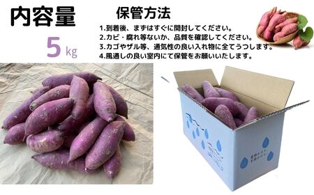 さつまいも 『紅はるか』 5kg ねっとり 蜜のように甘い熟成芋 サツマイモ 農家直送 数量限定 新潟県 糸魚川市 株式会社　清耕園ファーム熟成密芋 紅はるか 5kg 農家直送 ねっとり 蜜のように甘ーい しっとり甘い 食べごろの美味しいお芋をお届けします！  