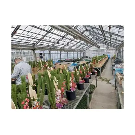 年末発送予約　お正月を飾る　門松（１個）