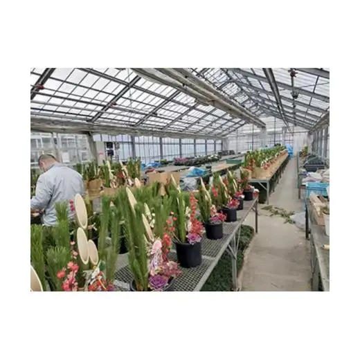 年末発送予約　お正月を飾る　門松１対（２個）