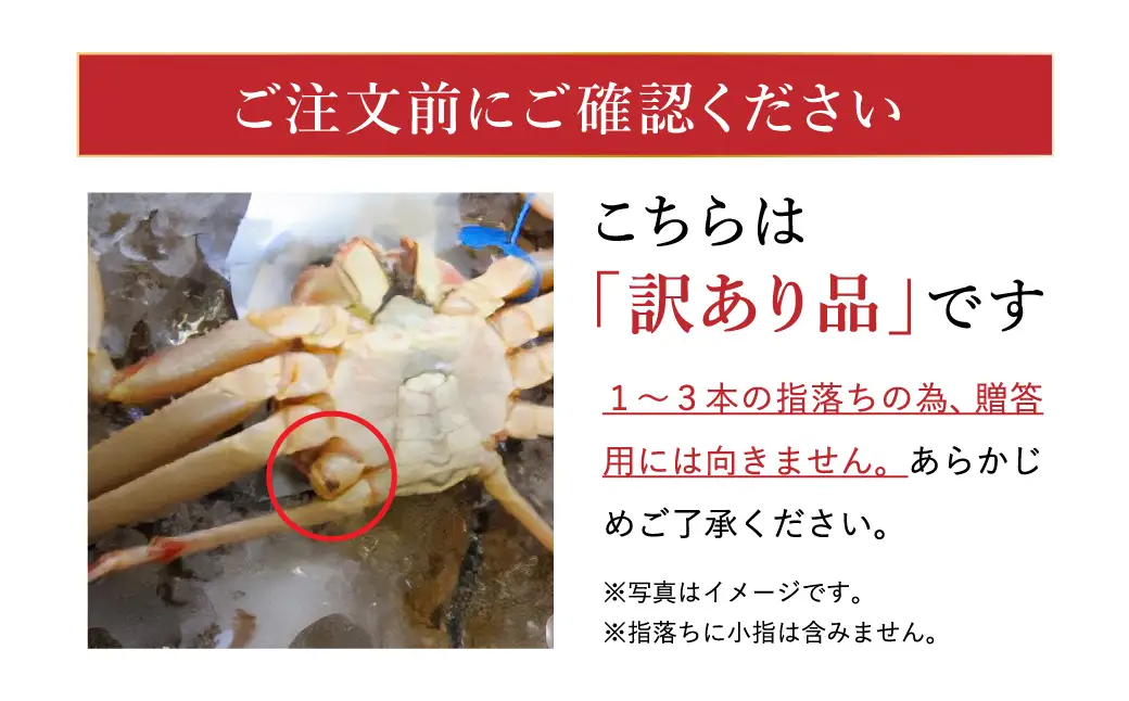 松葉ガニ 釜茹で 訳あり タグ付き 約800g