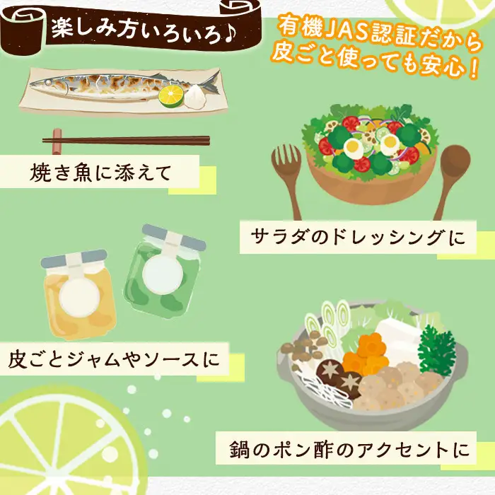 数量限定！有機JAS オーガニックライム(計2kg) 国産 果実 果物 フルーツ 柑橘 デザート 期間限定 有機栽培 健康志向【中村農場】akn084-06