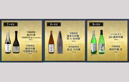 【定期便12ヶ月毎月お届け】【20セット限定】 日本酒3蔵飲み比べセット 24本（720ml×2本×12ヶ月）《2027年1月～順次出荷》
