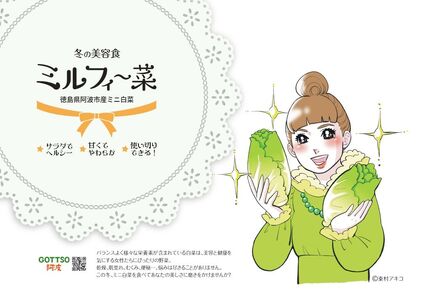 ミニ白菜 ミルフィ〜菜 6個セット 白菜 はくさい 野菜