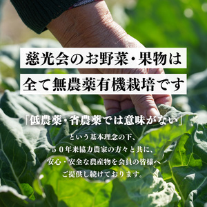 生命の農法（無化学農薬・無化学肥料栽培） 里芋 （約3kg） |  野菜 やさい ヤサイ 根菜 さといも 里芋 奈良県 五條市