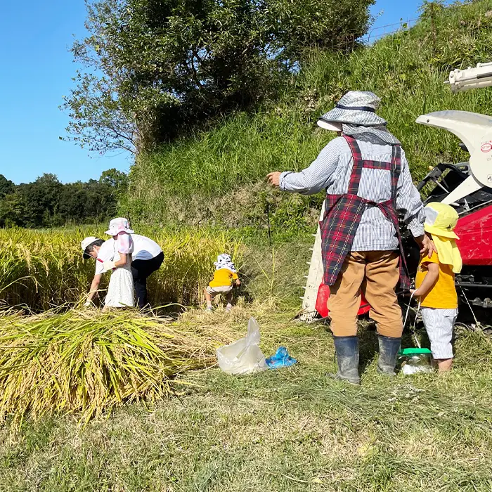 《玄米》淡路島の棚田米 １０kg