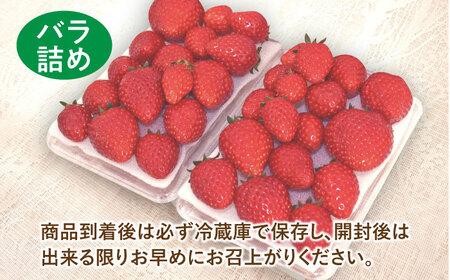 【先行予約】【数量限定200セット】嘉山農園の完熟バラ詰めいちご とちおとめ（260g×2パック）イチゴ 苺 フルーツ 果物 いちご【いちごはうす嘉山農園】 [AKCO002]