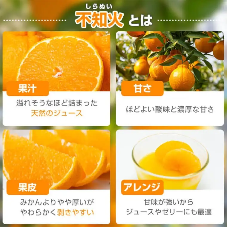 ＜先行予約＞ 不知火 しらぬい 計6kg 3kg×2ケース 国産 フルーツ みかん デコポン【JA鹿児島きもつき高山支所】A18008
