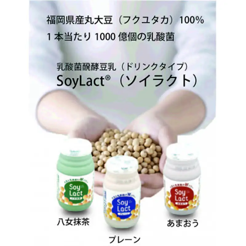乳酸菌醗酵豆乳「ソイラクト」100ml×4本×3種（プレーン・あまおう・八女抹茶）【乳酸菌 醗酵 豆乳 大豆 ドリンク 飲料 ソフトドリンク 人気 おすすめ 送料無料 福岡県 筑前町 DS002】【202609】