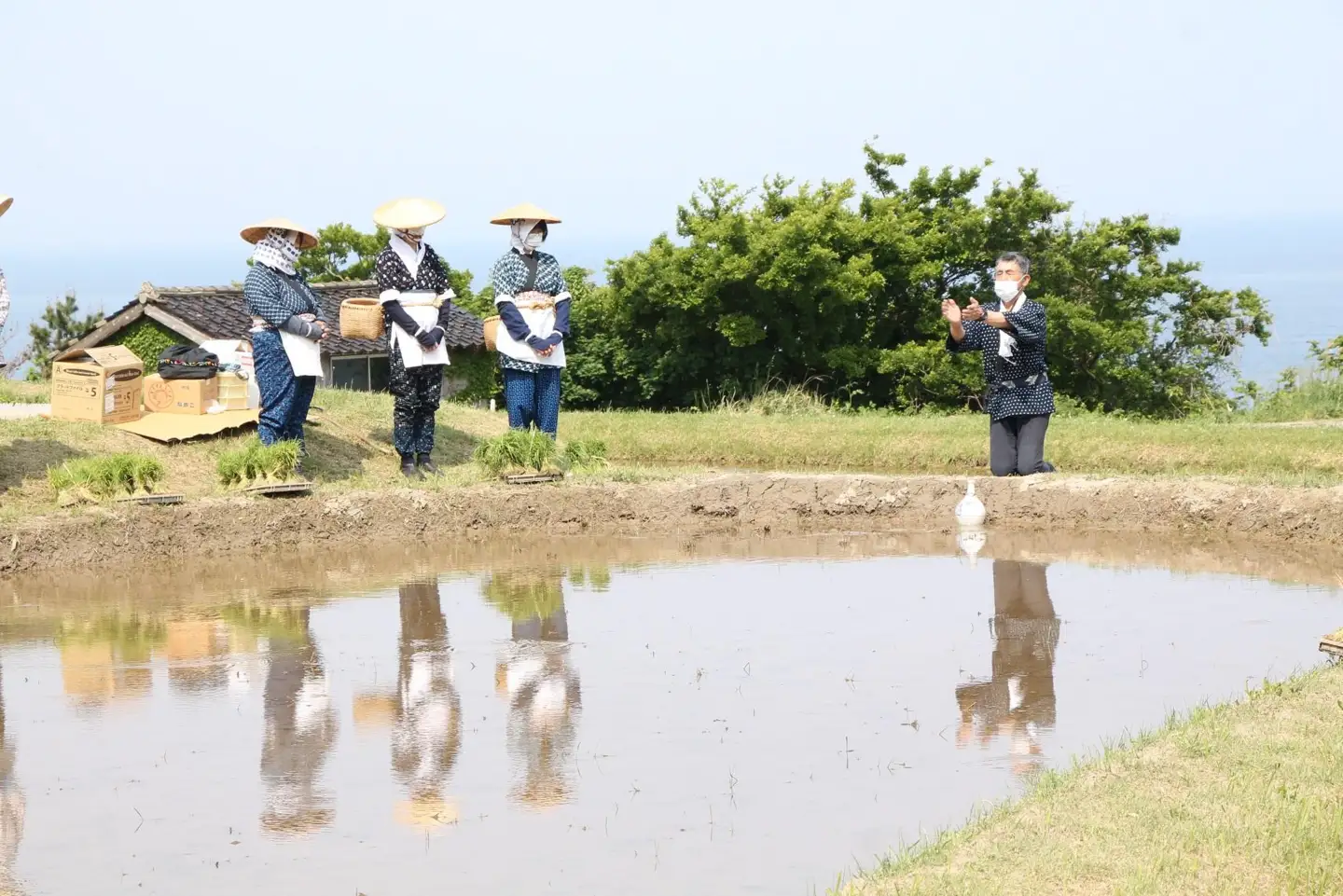 コシヒカリ3kg 2026年10月中旬より順次発送 佐渡の車田植 国指定 重要無形民俗文化財 北村家 稲穂付き コシヒカリ