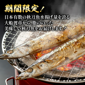 【期間限定】 訳あり 鮮さんま 約2.2kg 冷蔵 サンマ 
