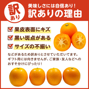 種無し金柑　ぷちまる　訳あり　1.05kg mi0084-0011-1