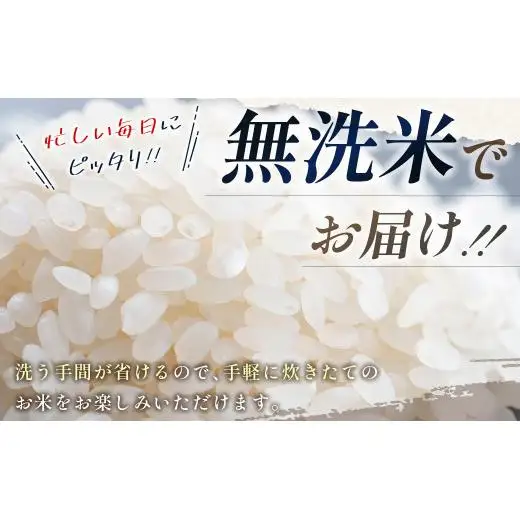 【4ヶ月定期便】宮崎県産 無洗米 コシヒカリ 5kg×4 合計20kg＜18-16a＞ごはん ご飯 白米