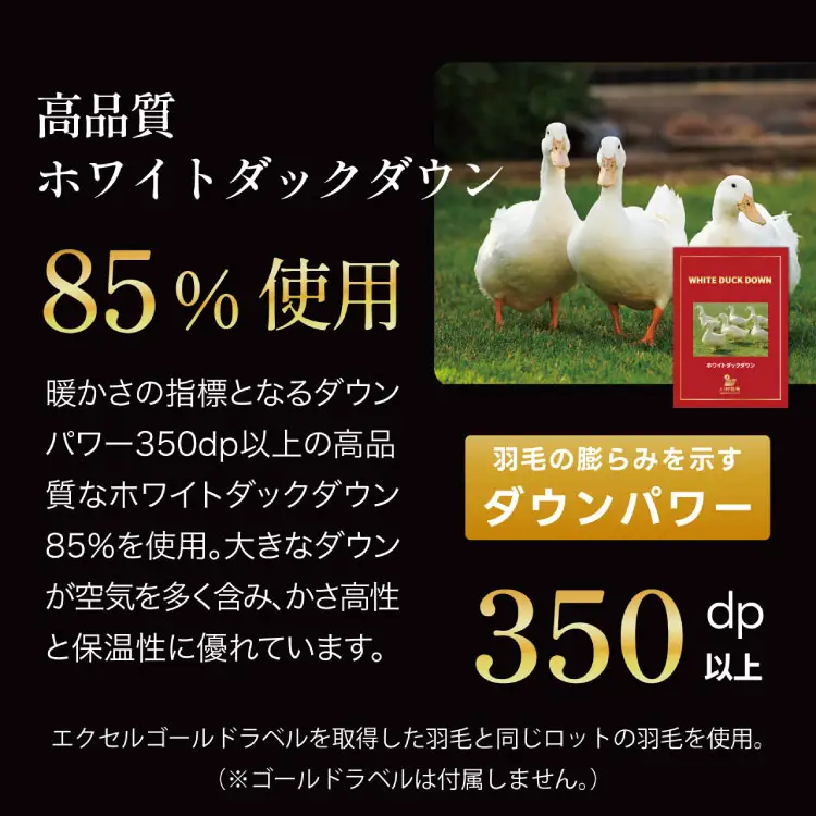 【訳あり】羽毛布団 シングル 合掛け 色柄おまかせ 春秋用 中厚 ホワイトダックダウン85％ 0.8kg 350dp｜