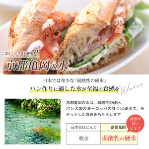【6回定期便】ハード系パンセット 3種 パンパンパンパン