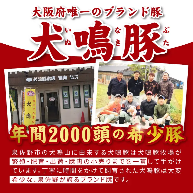 犬鳴豚の手作りプレミアムハンバーグ（10個入り）犬鳴豚餃子6個 セット