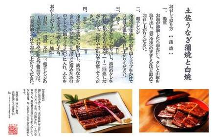 26-359．＜四万十食品＞うなぎ蒲焼　ハーフ4袋／ＢＣ