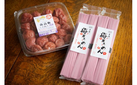 【松野町産 南高梅使用】香りひろがる梅そうめん・梅干しセット ◆ | 梅干し 梅 うめ 南高梅 しそ漬 肉厚 手延べ 五色 そうめん 文部科学大臣賞 受賞 マツノイズムプロジェクト マツノイズム 愛媛県 松野町 高校生 特産品 ふるさと納税 お取り寄せ