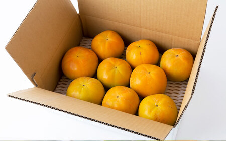 【先行予約】 江藤農園 太秋柿 （2Lから3L） 8玉から11玉 約3kg 【2026年10月下旬から11月上旬 出荷予定】