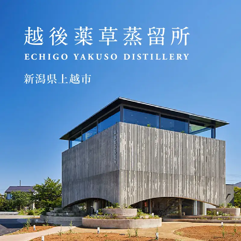 80種類の野草を使ったTHE HERBALIST YASO COLA 300ml 1本 クラフト コーラ ふるさと納税 新潟 新潟県産 にいがた 上越 上越産