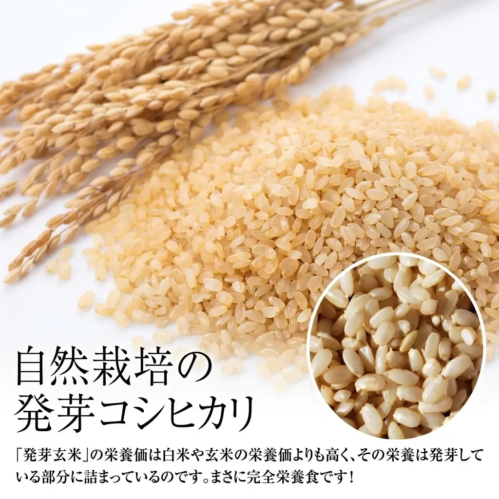 JAS 有機栽培 アイガモ農法 コシヒカリ 発芽玄米 2kg コシヒカリ 新潟