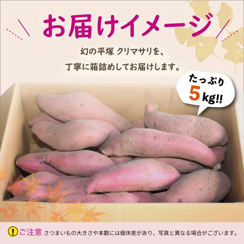 さつまいも くりまさり 5kg / さつまいも