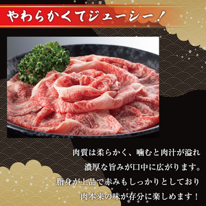 【ふるさと納税】訳あり！博多和牛切り落とし＆あまおうセット 1.3kg [a9450] 株式会社Meat Plus ※配送不可：離島【返礼品】添田町 ふるさと納税