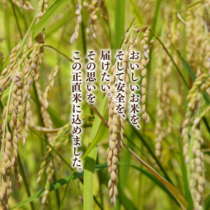 【令和7年産】正直米（特秀）2kg 特別栽培米 【おいしい おこめ 米 お米 精米 こしひかり コシヒカリ コンテスト 受賞 五つ星マイスター 特別米 2kg】(BC201)