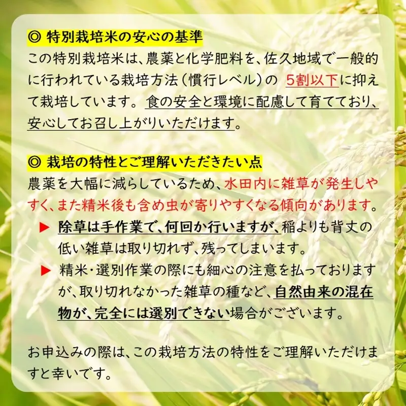 【令和8年産・玄米4kg×6カ月定期便】特別栽培米　五郎兵衛米 〈2026年9月下旬頃～順次発送〉 先行予約　新米　信州　こしひかり