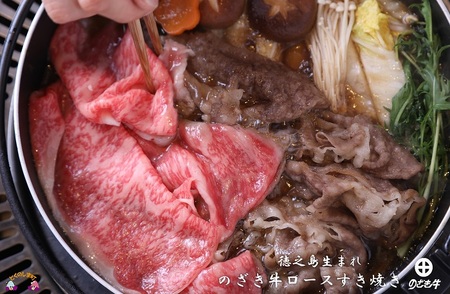 徳之島が世界に誇る最高級和牛“のざき牛”サーロインステーキギフト（ 特選 極上 ギフト プレミアム ステーキ すき焼き しゃぶしゃぶ お誕生日 記念日 鹿児島 黒毛和牛 ）