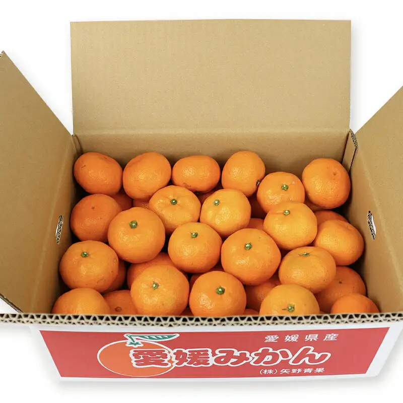 準 贈答用 みかん 南柑20号 5kg 矢野青果 温州みかん 柑橘 温州 うんしゅう 果物 くだもの フルーツ 濃厚 甘い 甘味 蜜柑 準贈答用 贈答品 贈答 ギフト プレゼント 産地直送 農家直送 数量限定 国産 愛媛 宇和島 B012-171005