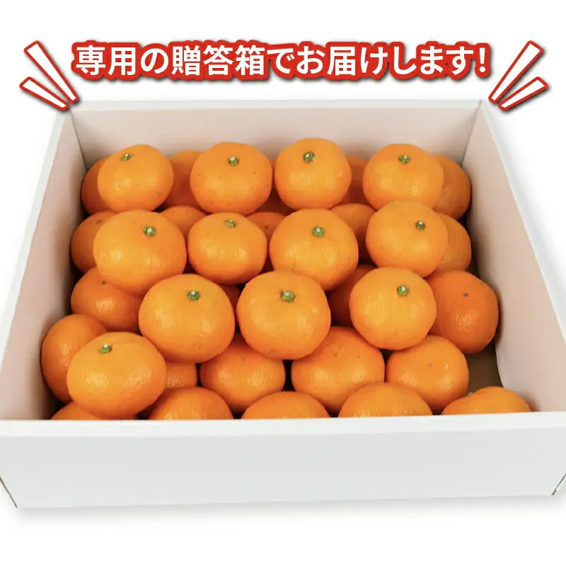 【温州】 南柑20号 2 ~ 3kg 矢野青果 温州 B012-171006