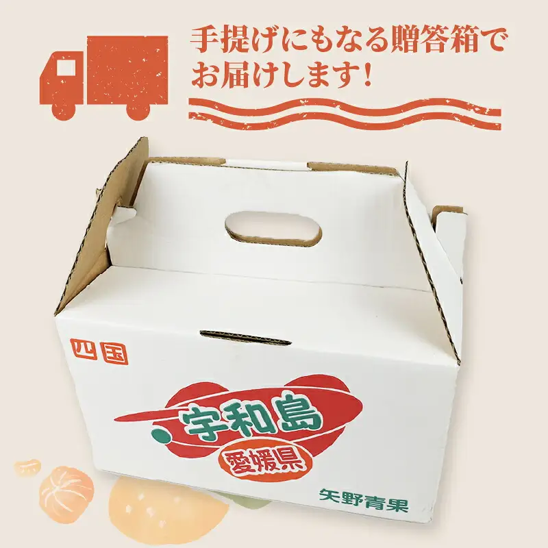 【矢野青果ポンカン】冬の柑橘 ポンカン 2~3kg B012-171008