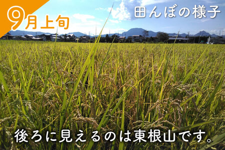 ★令和7年産★ ささしぐれ 5kg（精米） 白米 DE006