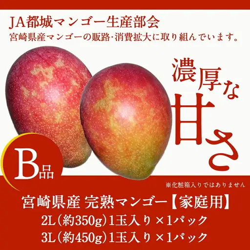 【先行受付!】宮崎県産完熟マンゴー(B品)【2L×1玉、3L×1玉】≪2027年5月中旬以降順次お届け≫〔01-058〕_(都城市)
