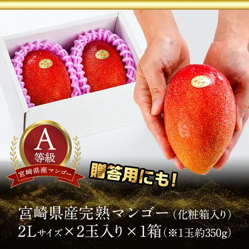 【先行受付!】宮崎県産完熟マンゴー(A等級) 【2L以上×2玉】≪2027年5月中旬以降順次お届け≫〔22-0101〕_(都城市)