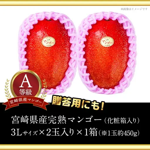 【先行受付!】宮崎県産完熟マンゴー(A等級) 【3L以上×2玉】化粧箱入り≪2027年5月中旬以降順次お届け≫〔AE-0112〕_(都城市) 宮崎県産 完熟マンゴー 化粧箱入り 3Lサイズ 糖度13度以上 A等級品 南国宮崎