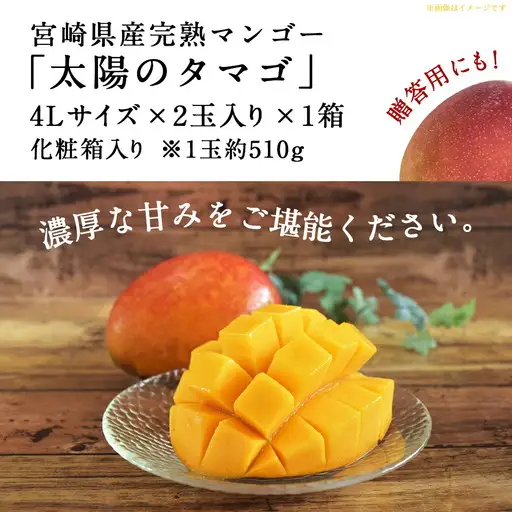 【先行受付!】宮崎県産完熟マンゴー 太陽のタマゴ【4L×2玉】化粧箱入り≪2027年5月中旬以降順次お届け≫〔41-0101〕_(都城市)