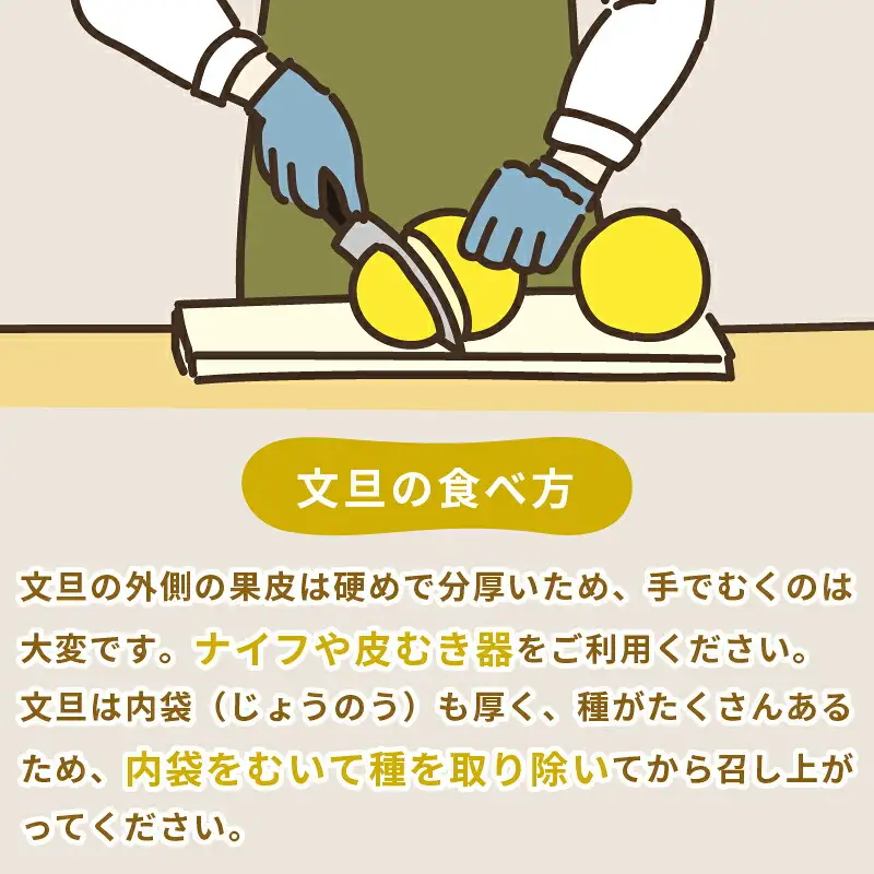 準贈答用 文旦 5kg ！矢野青果 B012-171012