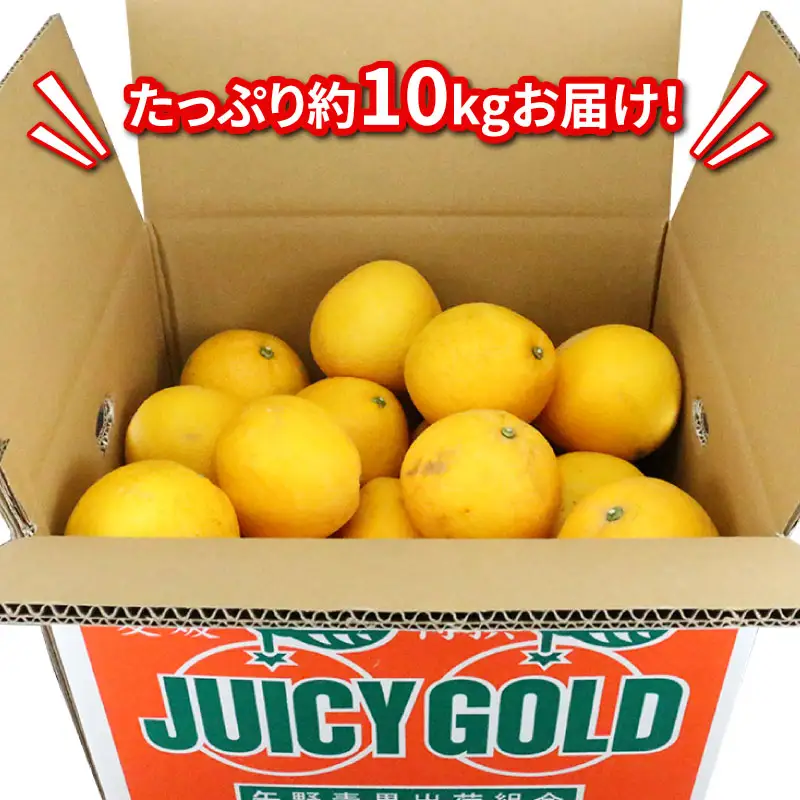 家庭用 河内晩柑 10kg 矢野青果 河内晩柑 B012-171013
