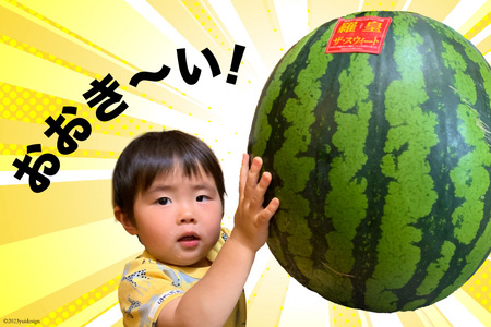 CH055【令和9年度出荷分】訳あり 大玉スイカ～羅皇（ラオウ）～（8kg以上）