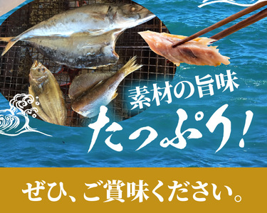 干物セットC N014-YZB914