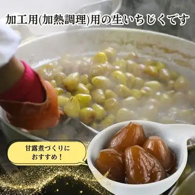 生いちじく 果物 北限のいちじく ホワイトゼノア 生いちじく【2kg】
