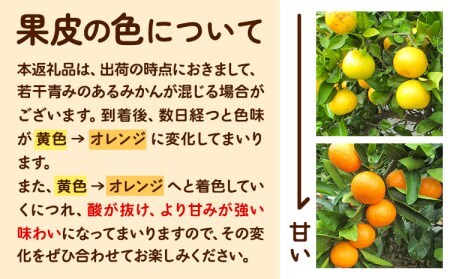 みかん 訳あり ゆら早生みかん 約5kg