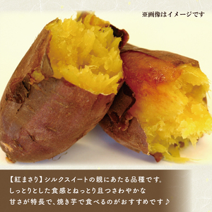 AE-69　【行方かんしょ】『天皇杯受賞』JA産冷凍焼き芋　3種セット（紅優甘、行方の紫福、紅まさり）各種4本