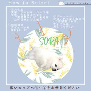 うちの子大好きセット オリジナルプチ缶3個+シール3シート 《 ペットグッズ 犬 容器 小物入れ 缶 シール オリジナル ステッカー セット 》【2401N13302】