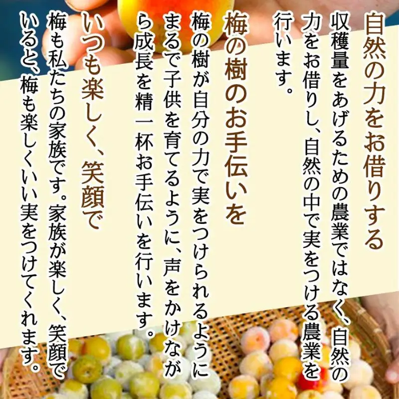 てらがき農園スペシャル　三種セット（冷凍）　trgk005A【trgk005A】
