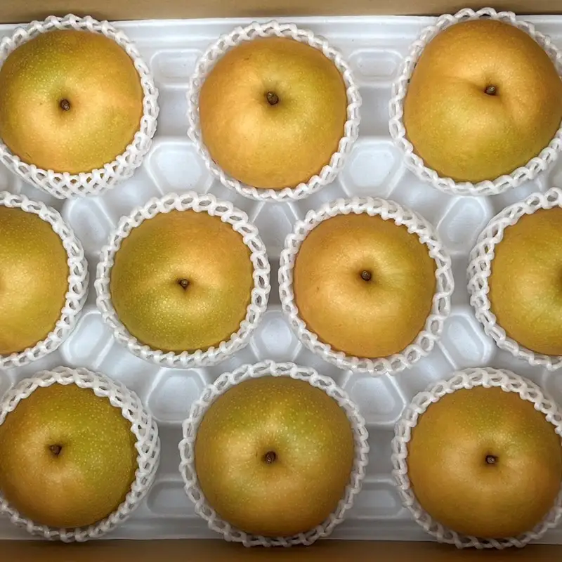 梨・フルーツ／【先行予約／数量限定80】京丹後産 新興梨 大玉 5kg（6～10玉入り）（2026年10月上旬～発送）人気梨品種・果物・フルーツ・旬のフルーツ・旬の果物・梨セット・梨の詰め合わせ