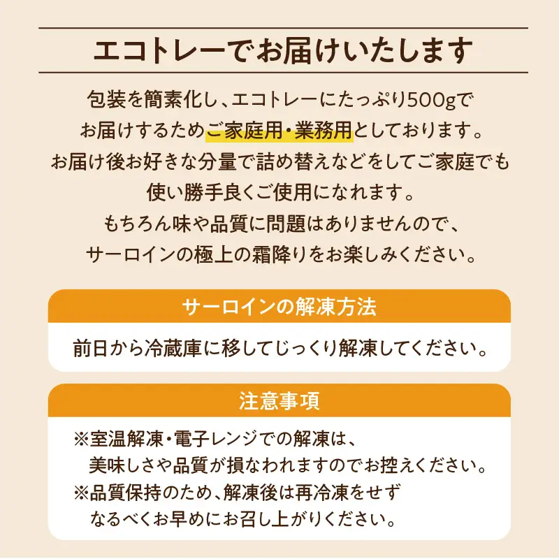 【 訳あり 】 A5 等級 黒毛和牛 サーロイン 大判 スライス 500g × 2P K002-032 肉 牛肉 冷凍